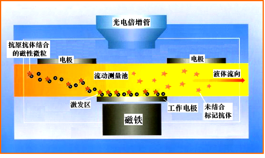 IVD 化学发光分析仪(2款:半自动和全自动)(图2)